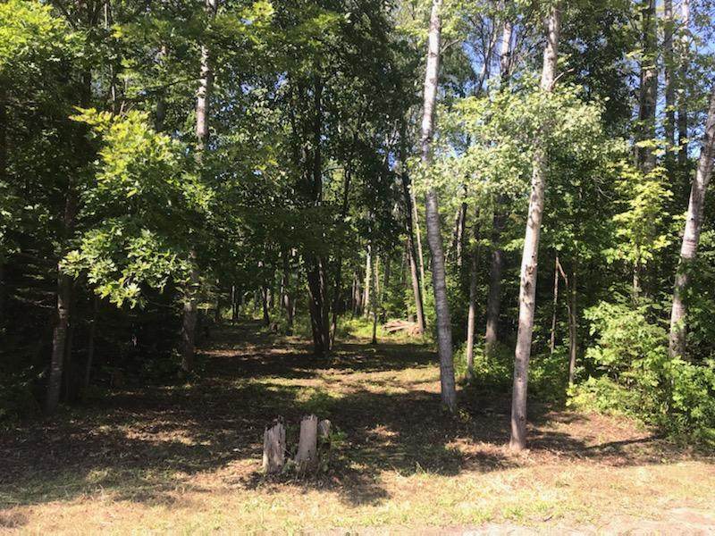 Blumke Road - Photo 1