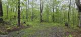 3775 Wolfe Road - Photo 9