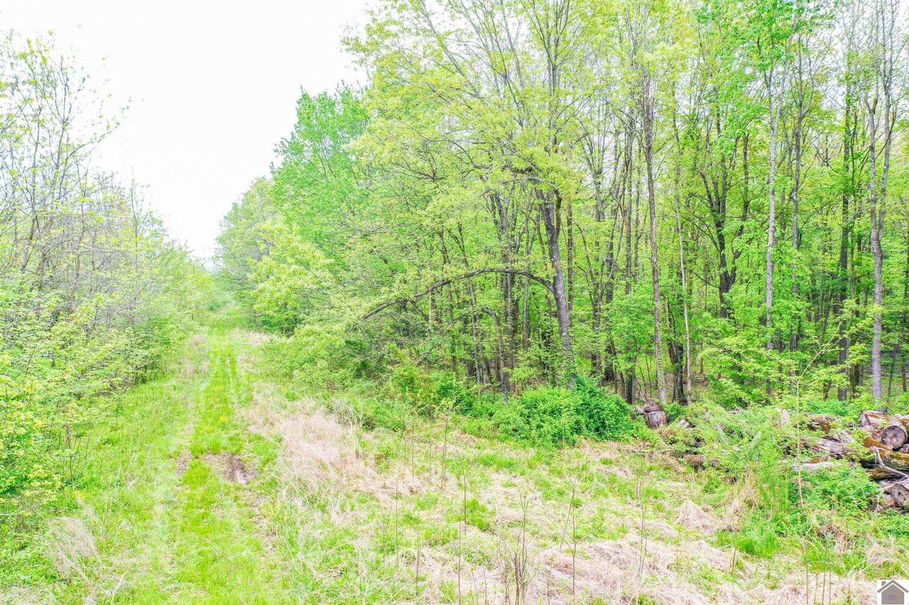 5240 Husbands Road - Photo 1