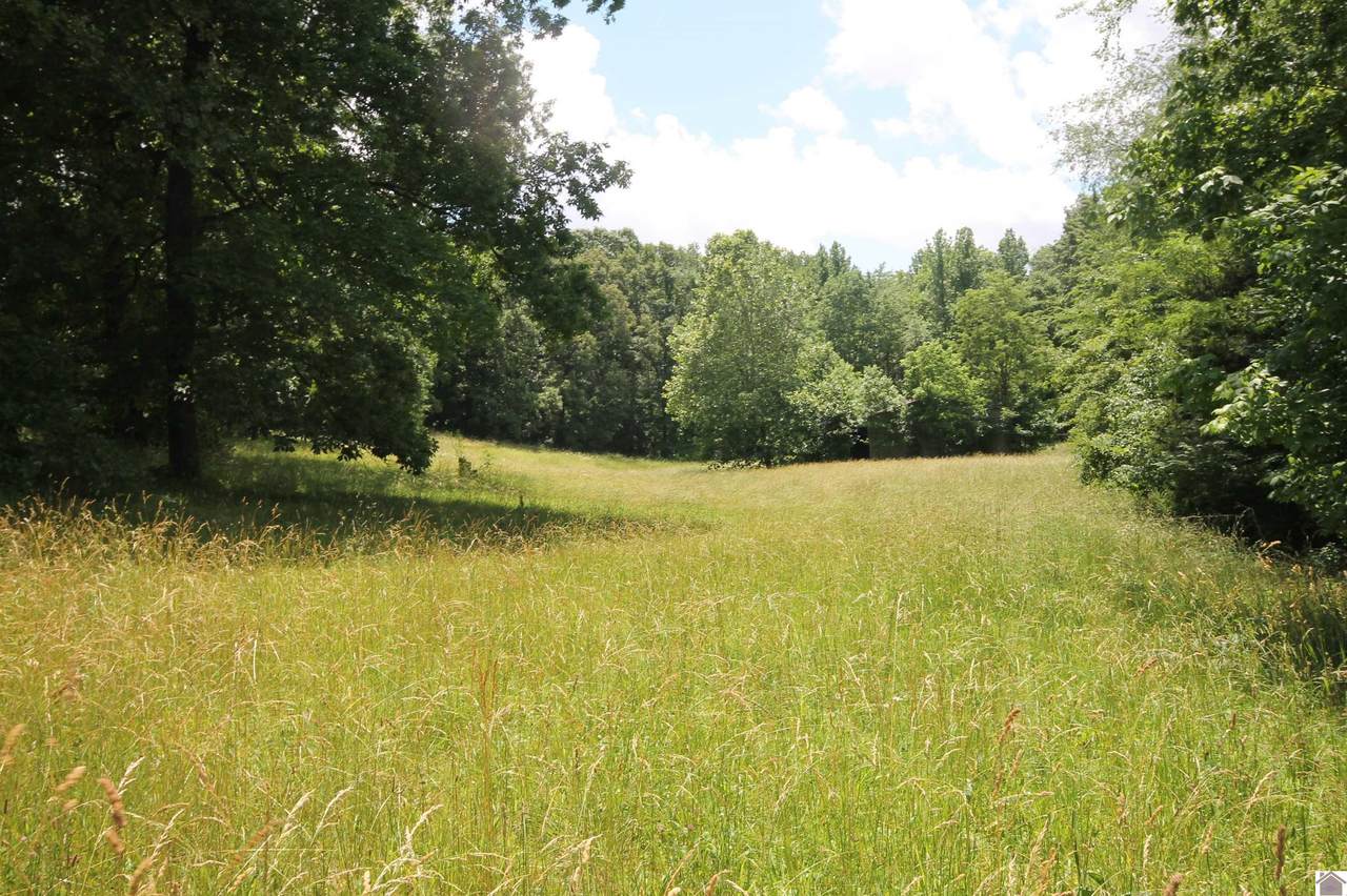 1501 Diuguid Dr - Photo 1