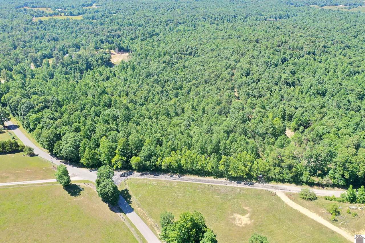 000 Niles Rd - Photo 1