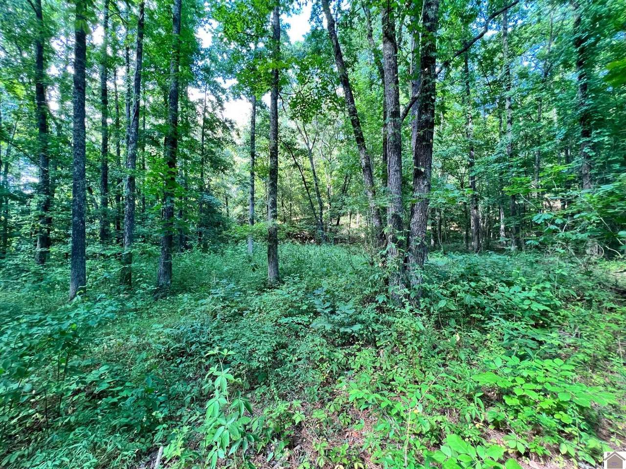 00 Landmark Circle, Lot 8 - Photo 1
