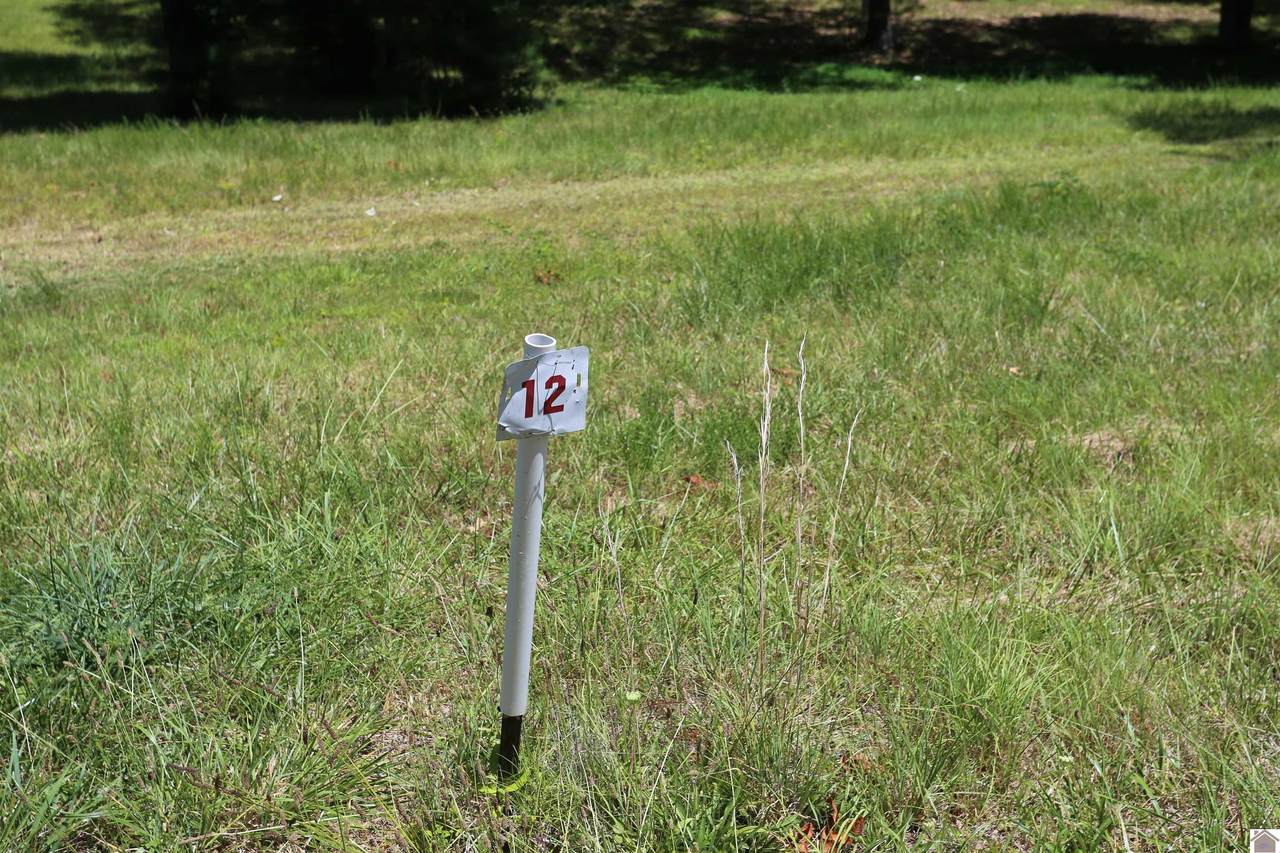 Lot #12 Pine View Drive - Photo 1