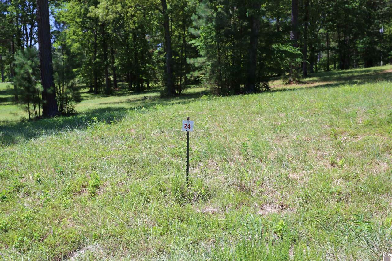 Lot #24 Pine View Drive - Photo 1