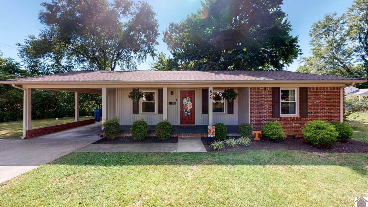 524 Shady Lane - Photo 1