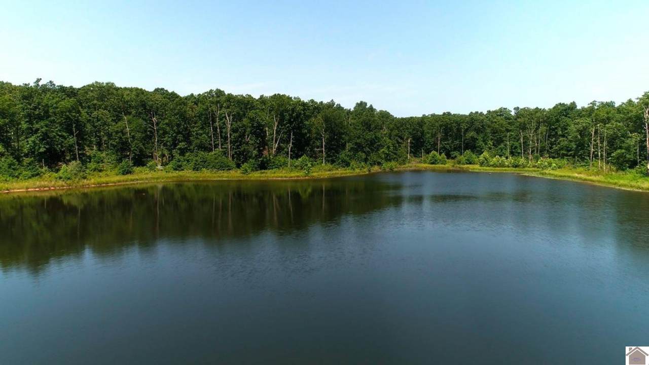 0 County Road 818 - Photo 1