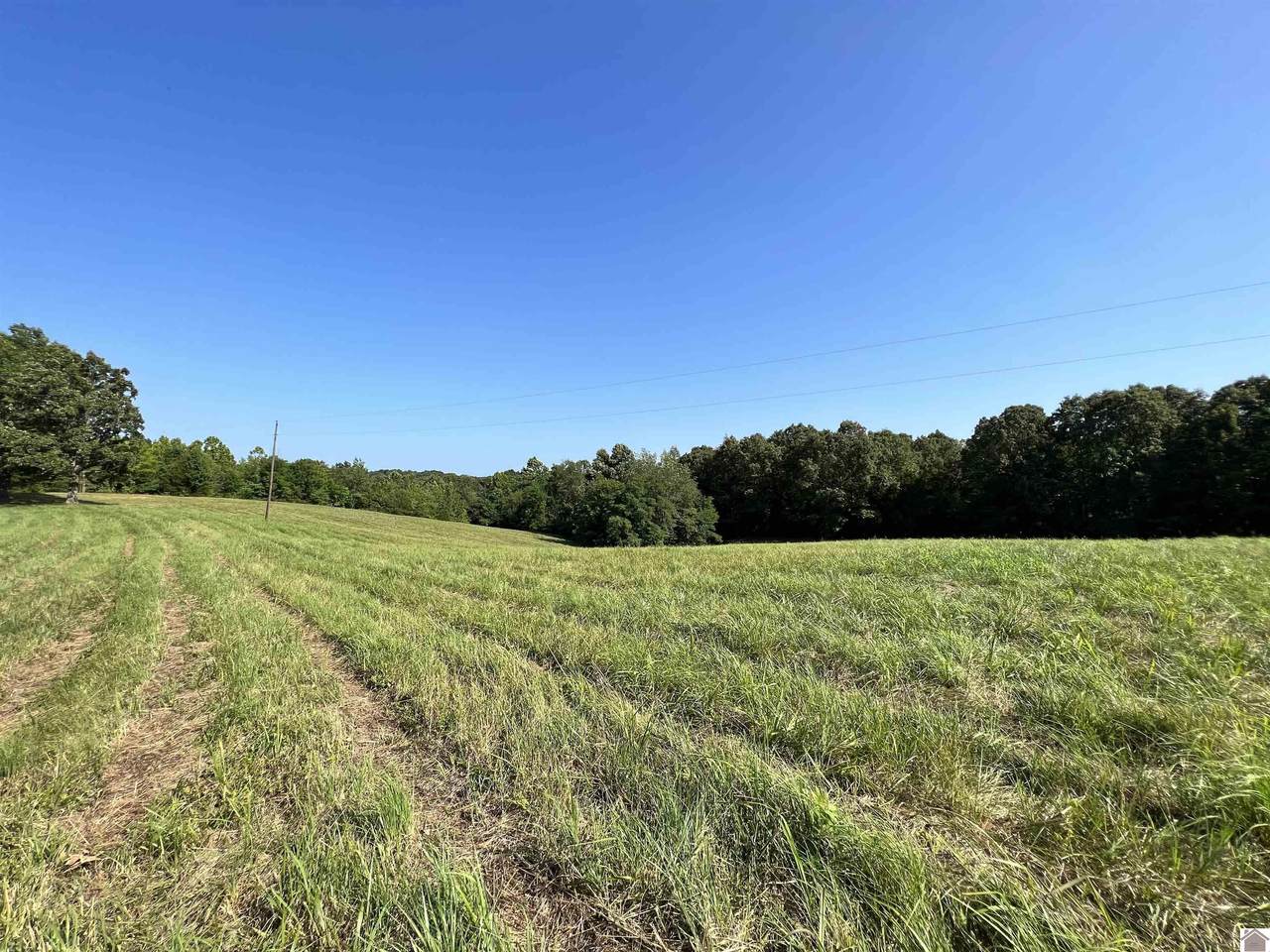 00 Mcdaniel Cemetery Road - Photo 1