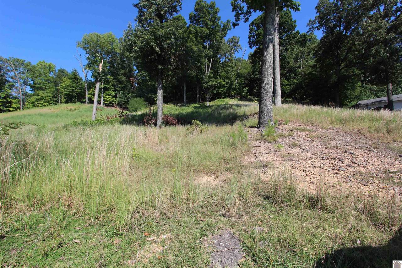 LOT 12 Holly Lane - Photo 1