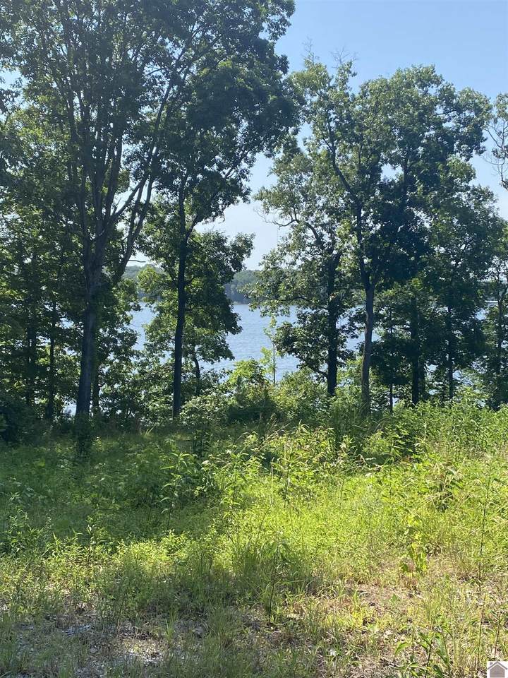 19.33 Acres in And Connected To Jonathan Shores S/D - Photo 1