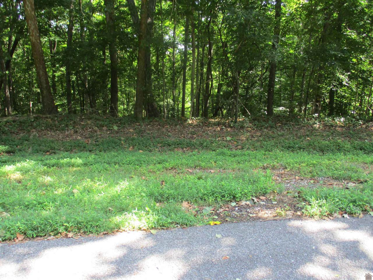37 Dixon Lane - Photo 1
