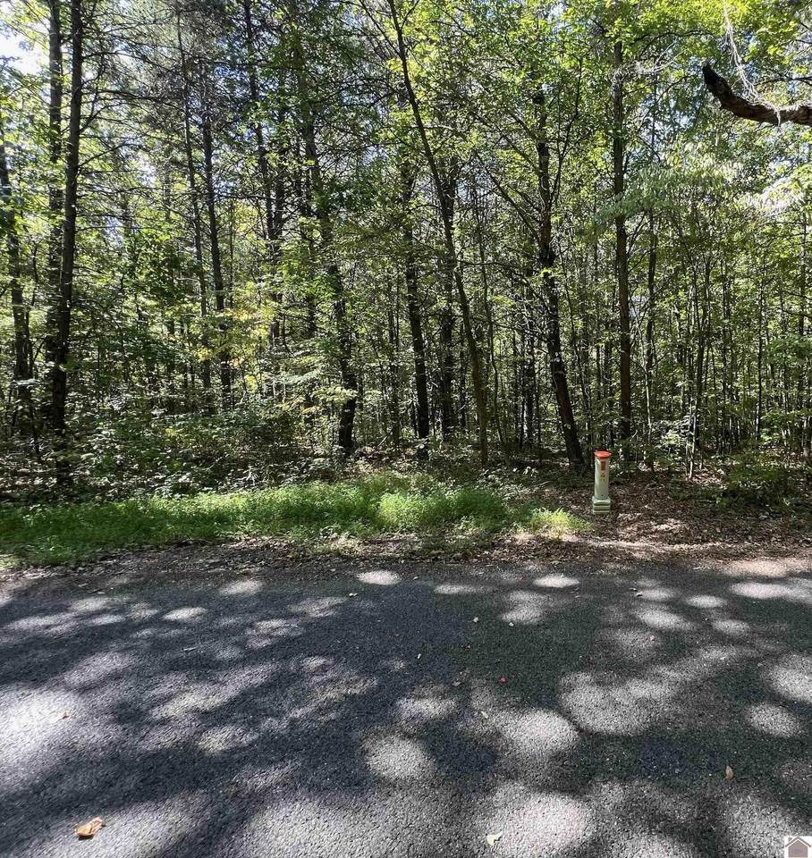 0 Yarbrough Rd - Photo 1