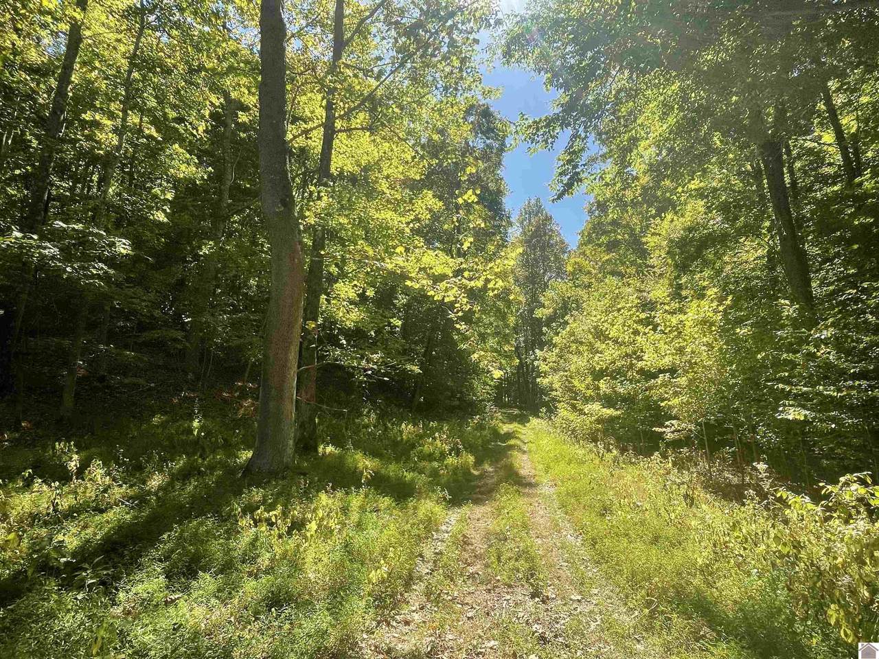 00 Louard Bell Rd - Photo 1