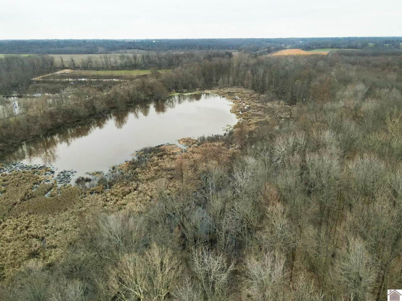 2614 Baltic Loop - Photo 1