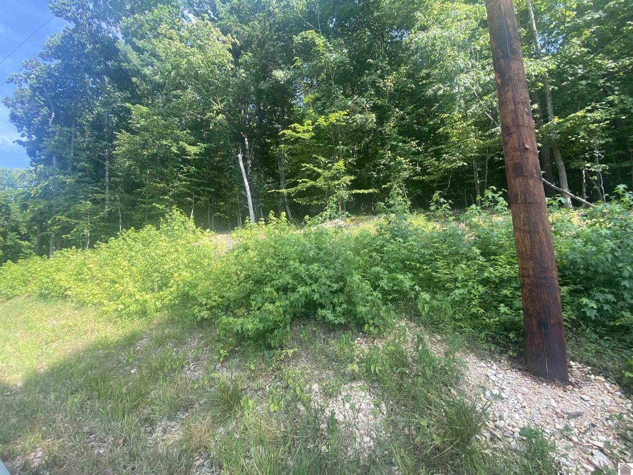 99 Canton Heights Circle II - Photo 1