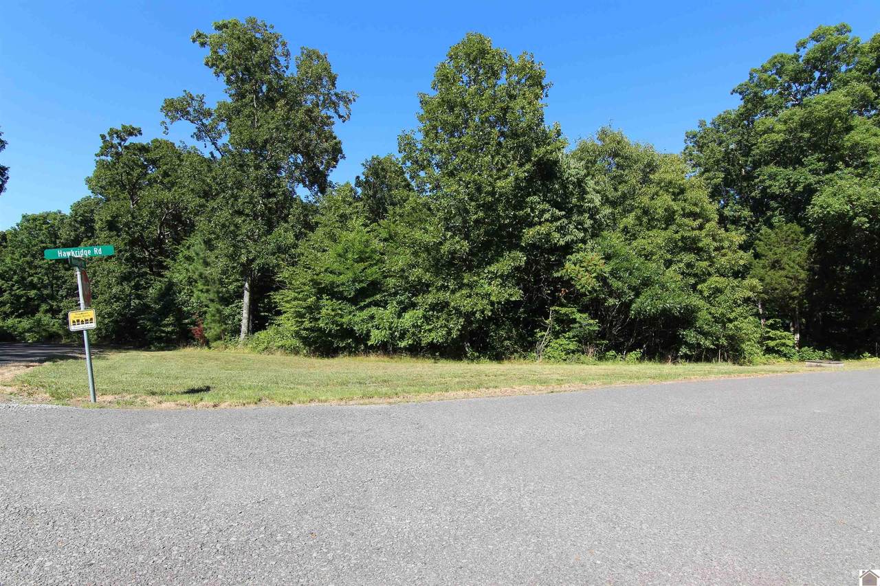 Lot #17 Waterfowl Road - Photo 1