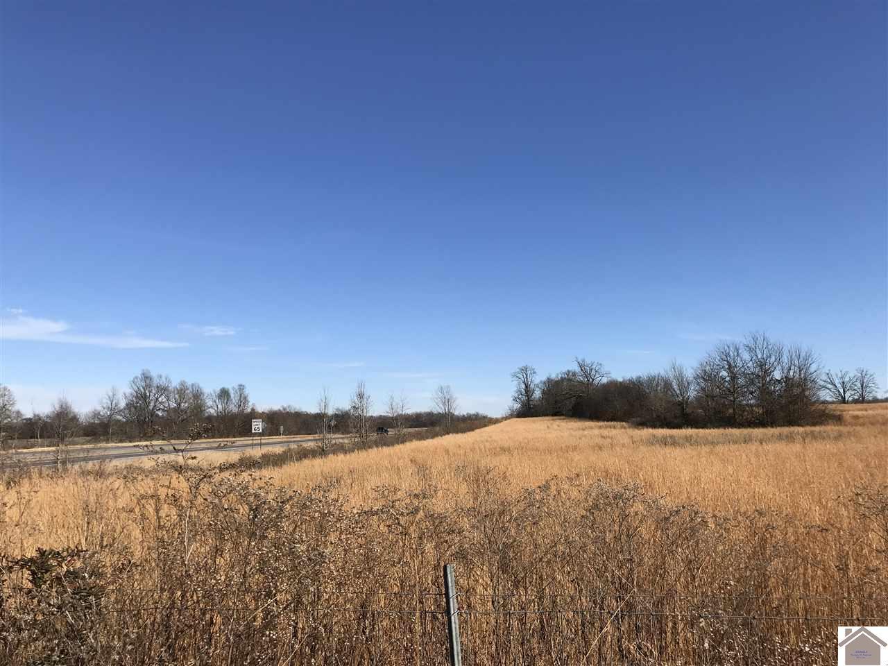 000 Highway 80 And Bethel Rd - Photo 1