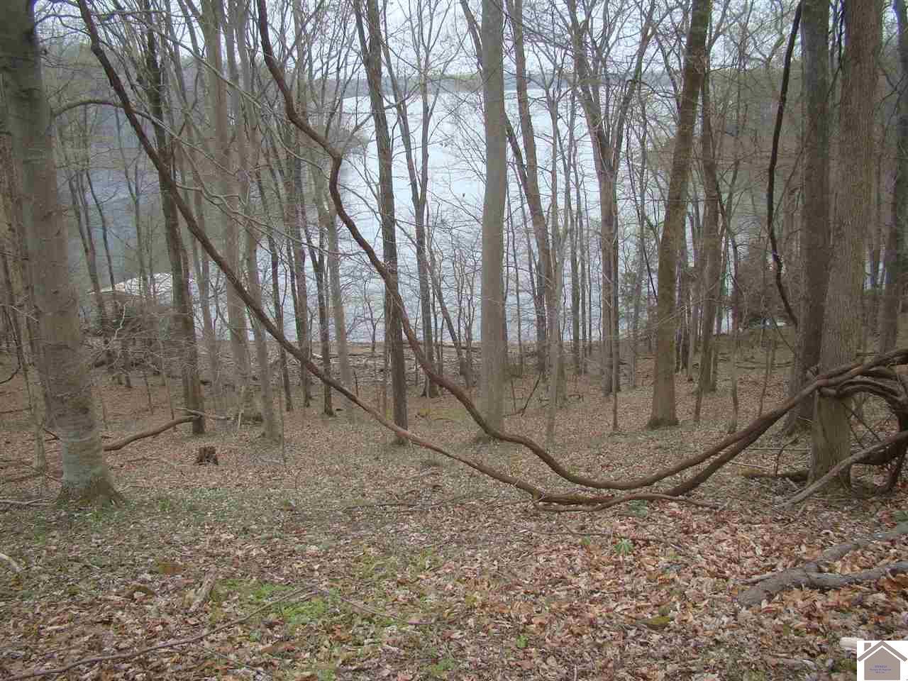 286 Crystal Creek Road - Photo 1