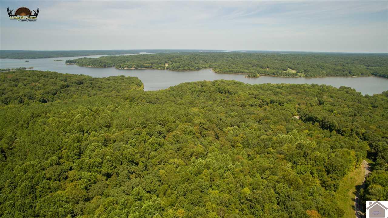 1357 Piney Wood Road - Photo 1