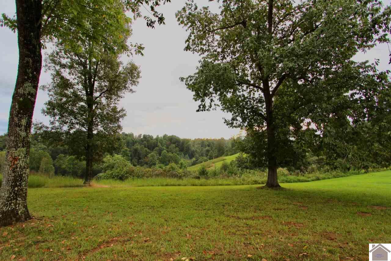Lot 5 Rose Lane - Photo 1