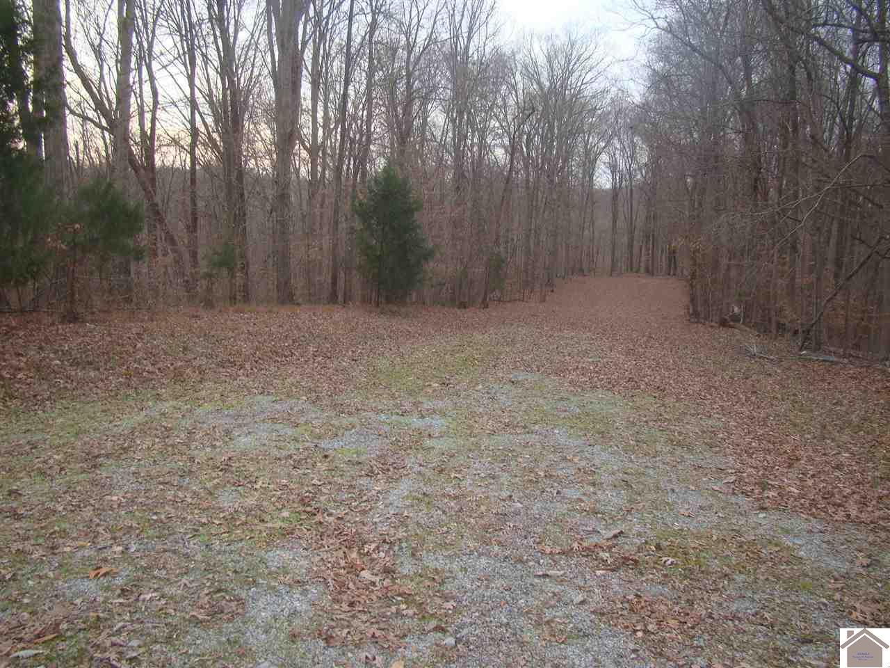 50 Jonquil Circle - Photo 1