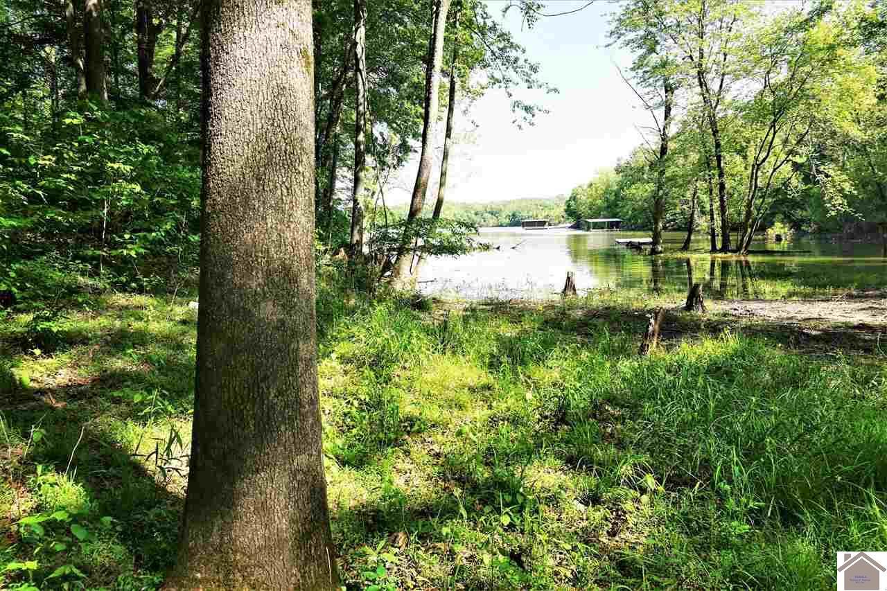 085 Periwinkle Hill Rd. - Photo 1