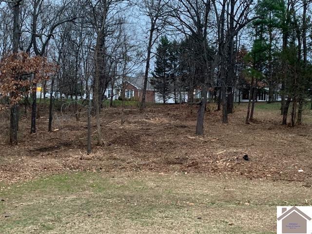 870 Lakeview Drive Lot 21B - Photo 1