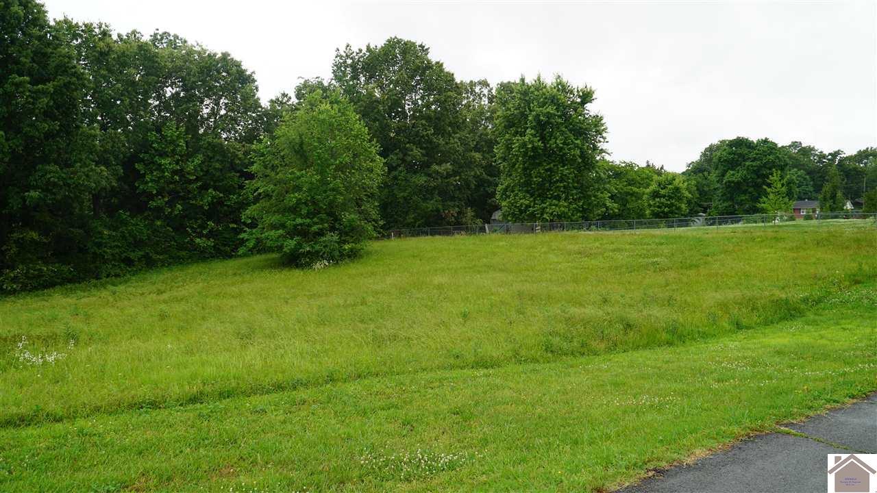 Lot 40 Cox Creek Drive - Photo 1
