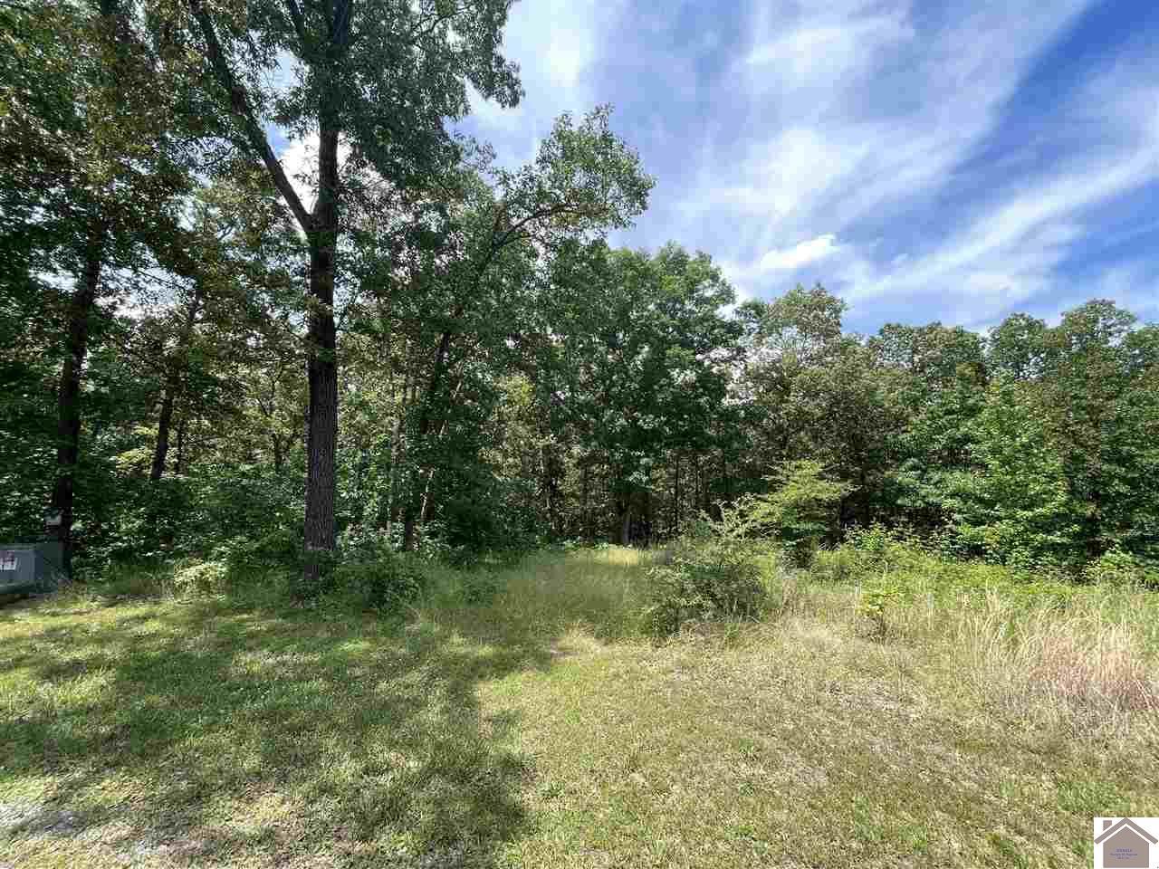 Lot 66 Dock Drive - Photo 1