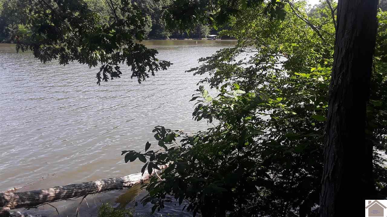 Lot 141 Goose Creek Dr. - Photo 1
