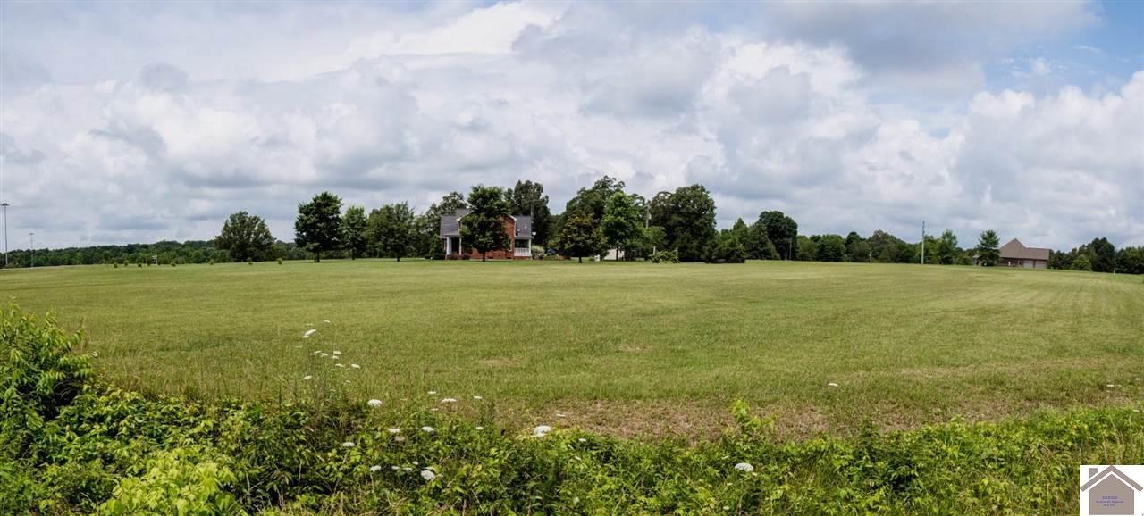 485 Paris Rd Tract 4A - Photo 1