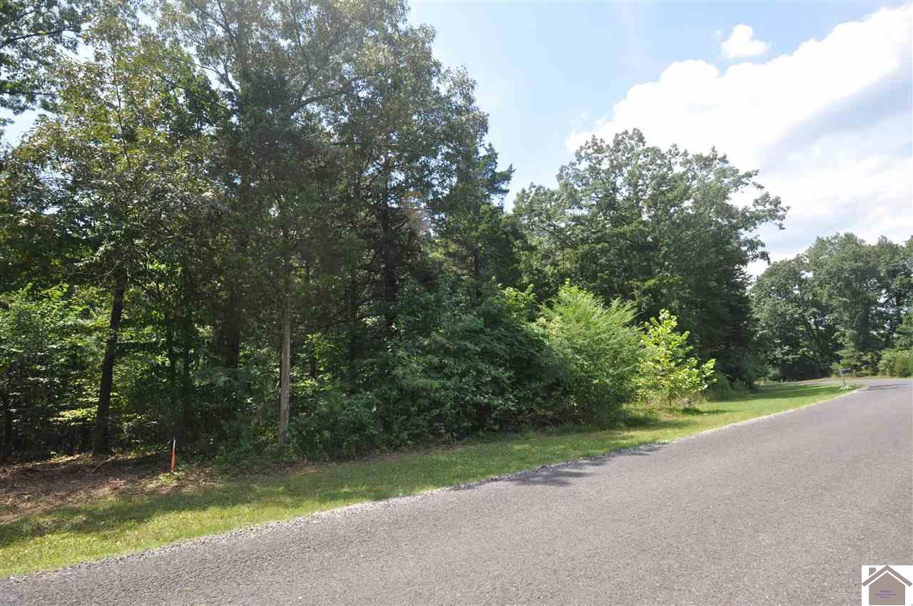 00 Deepwood Dr, Lot 200 - Photo 1