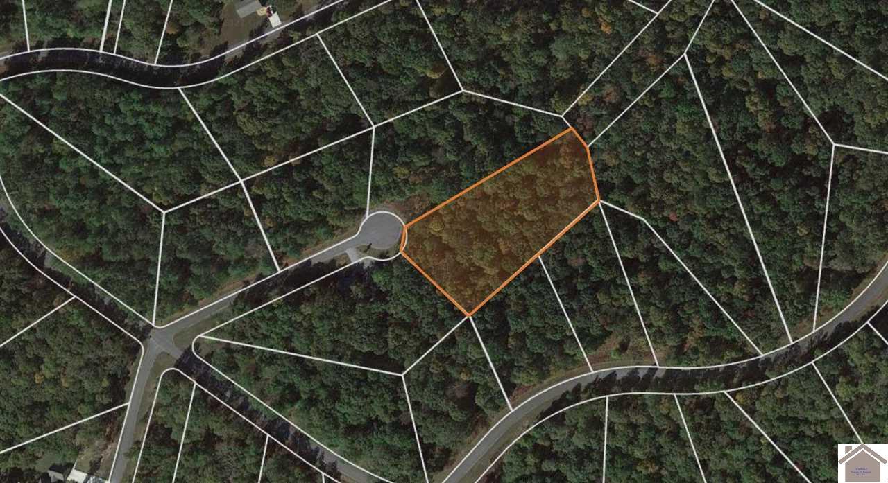 Lot 93 Streetland - Photo 1