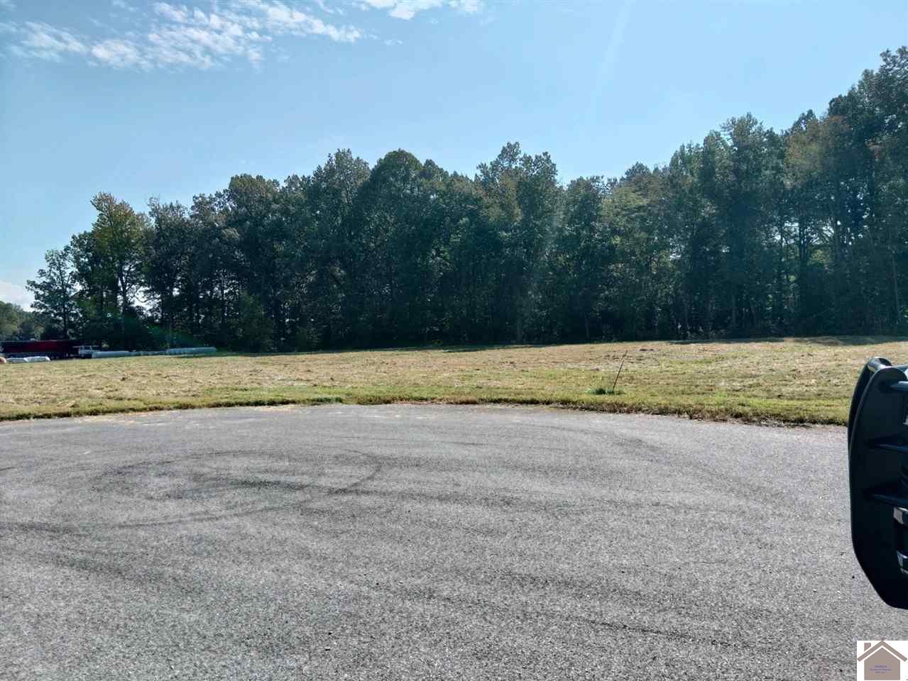 4460 Lance Walton Drive - Photo 1