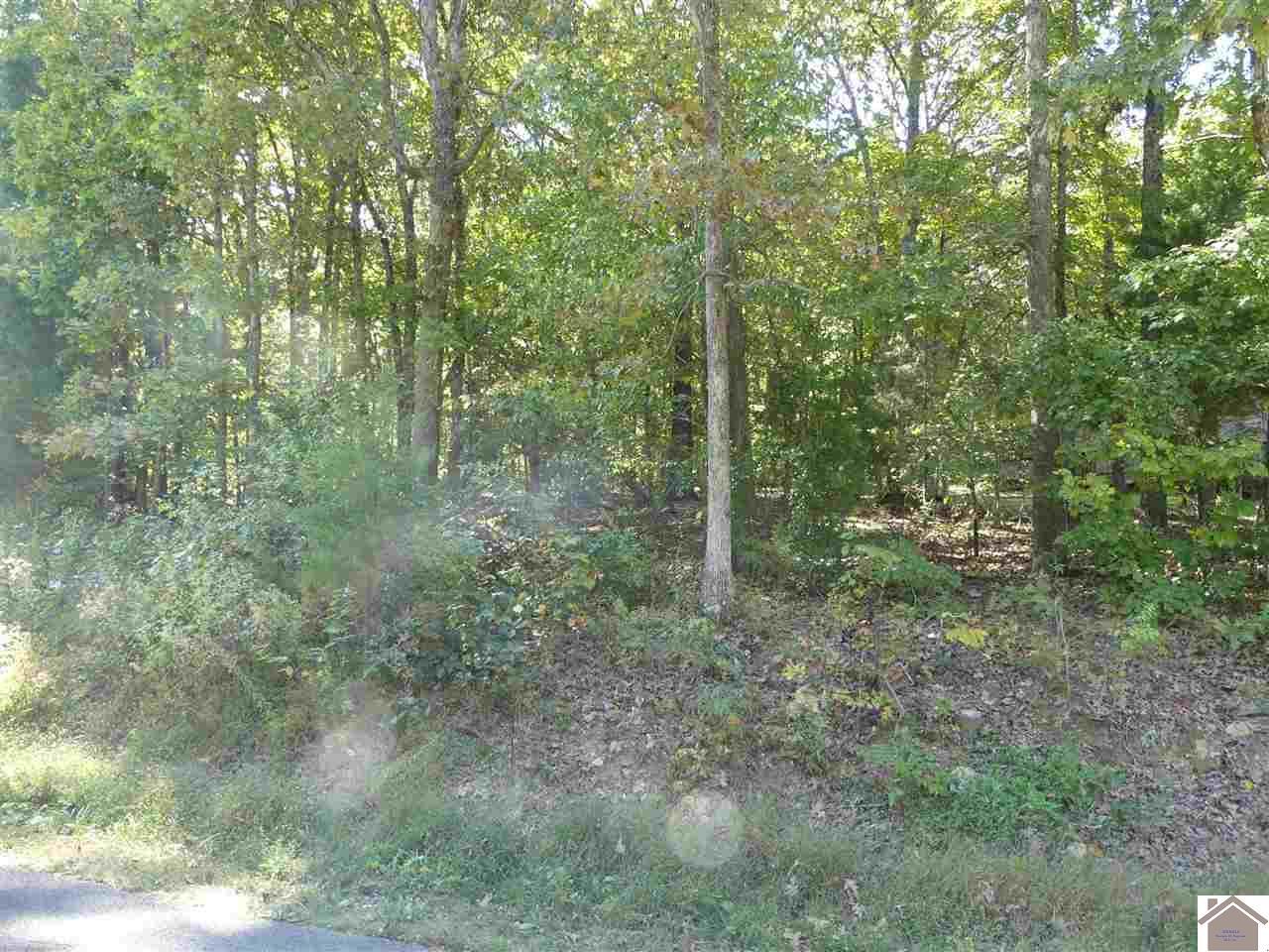 359 Waterway Trail (Lot # 119) - Photo 1