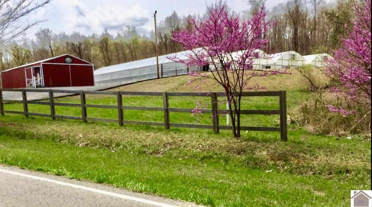 7111 Us Hwy 431 S - Photo 1