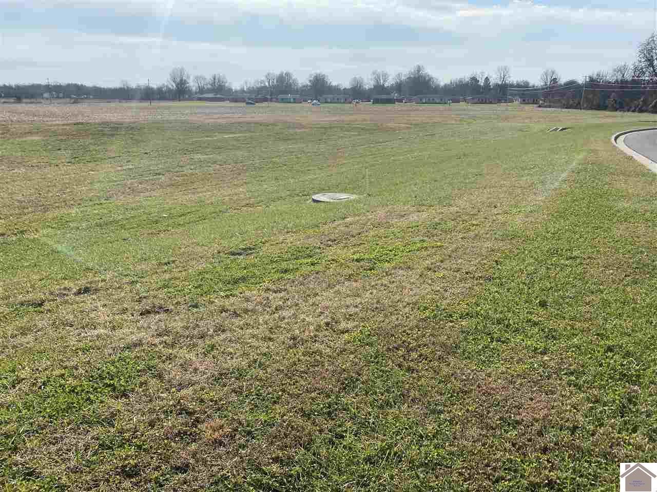Lot 30 Gideons Crossing - Photo 1