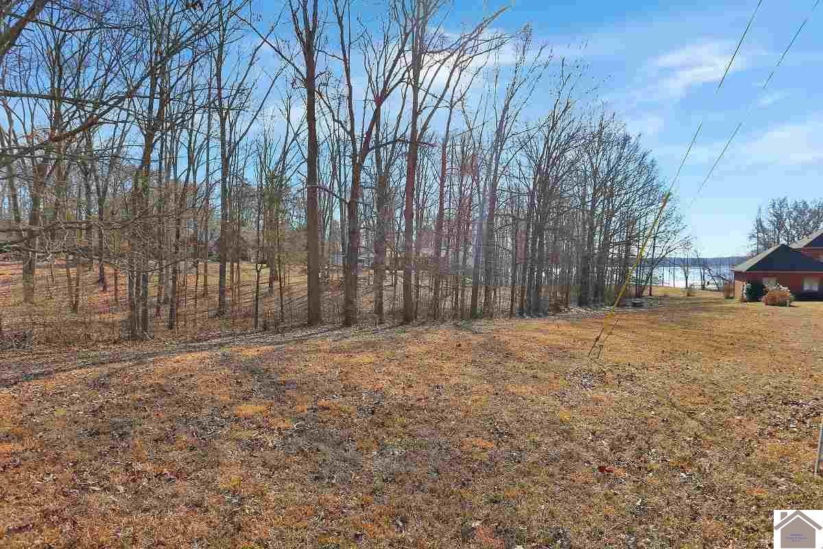 Lots 31 & 32 Windward Lane - Photo 1