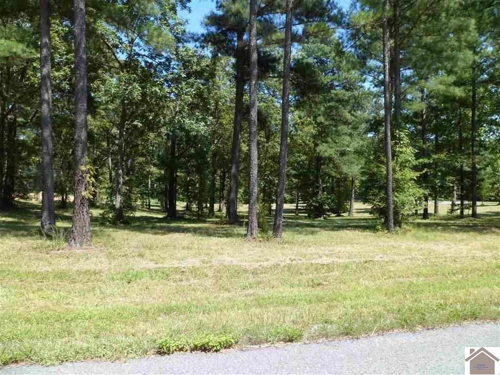 phase II Sassy Land Subdivision - Photo 1