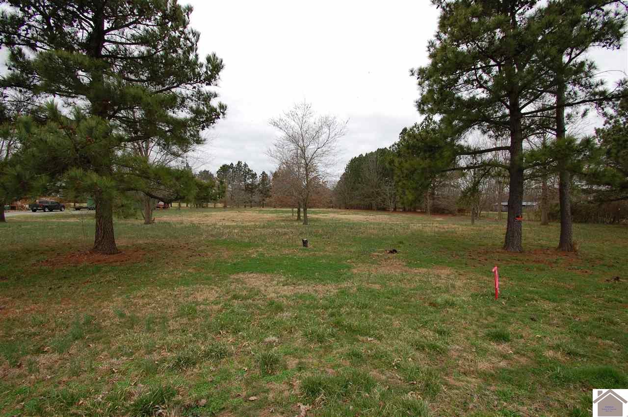 000 Mccauley Lane - Photo 1