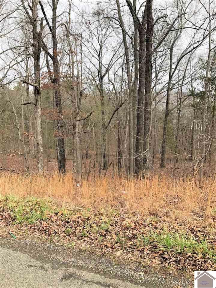 Lots 250 & 251 Dunbar Rd (Hwy 444) - Photo 1