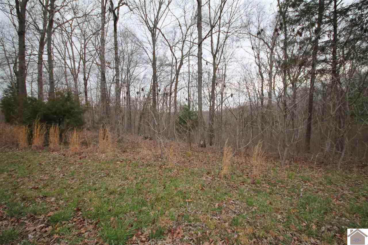 Lot 3 Haynes Cemetery Rd - Photo 1