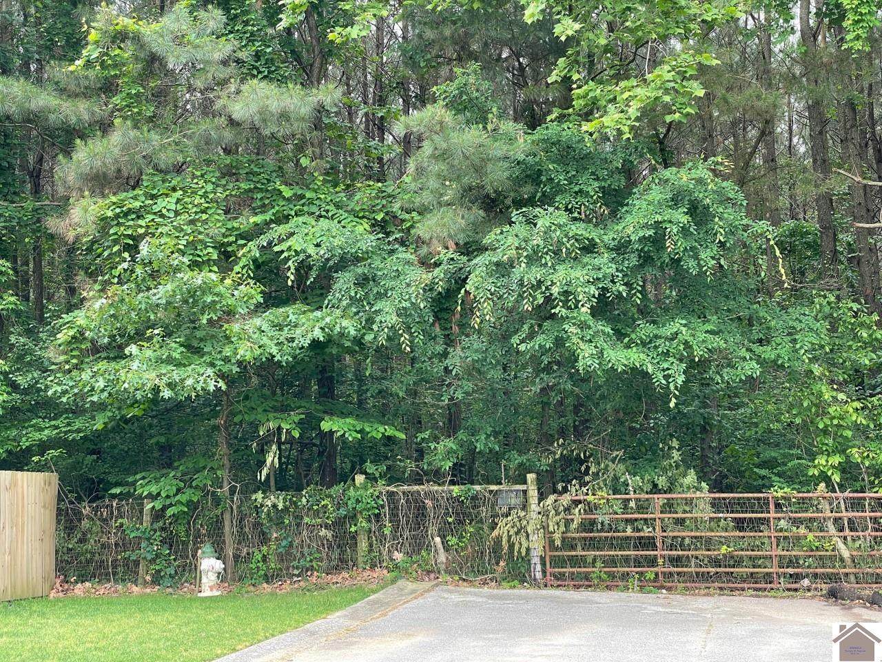 Starview Trail - Photo 1