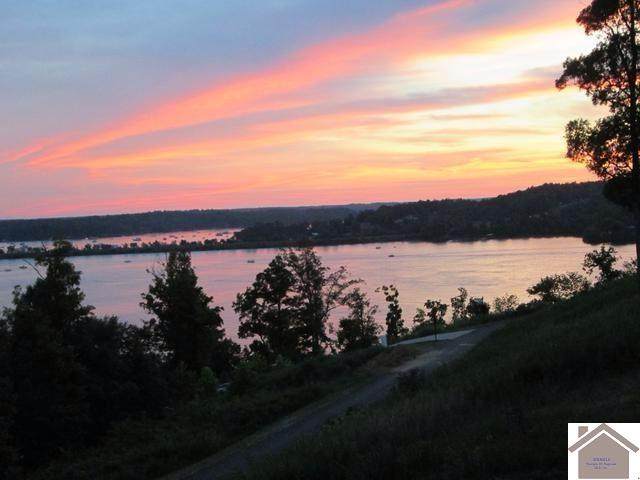 54 Eagles Landing - Photo 1