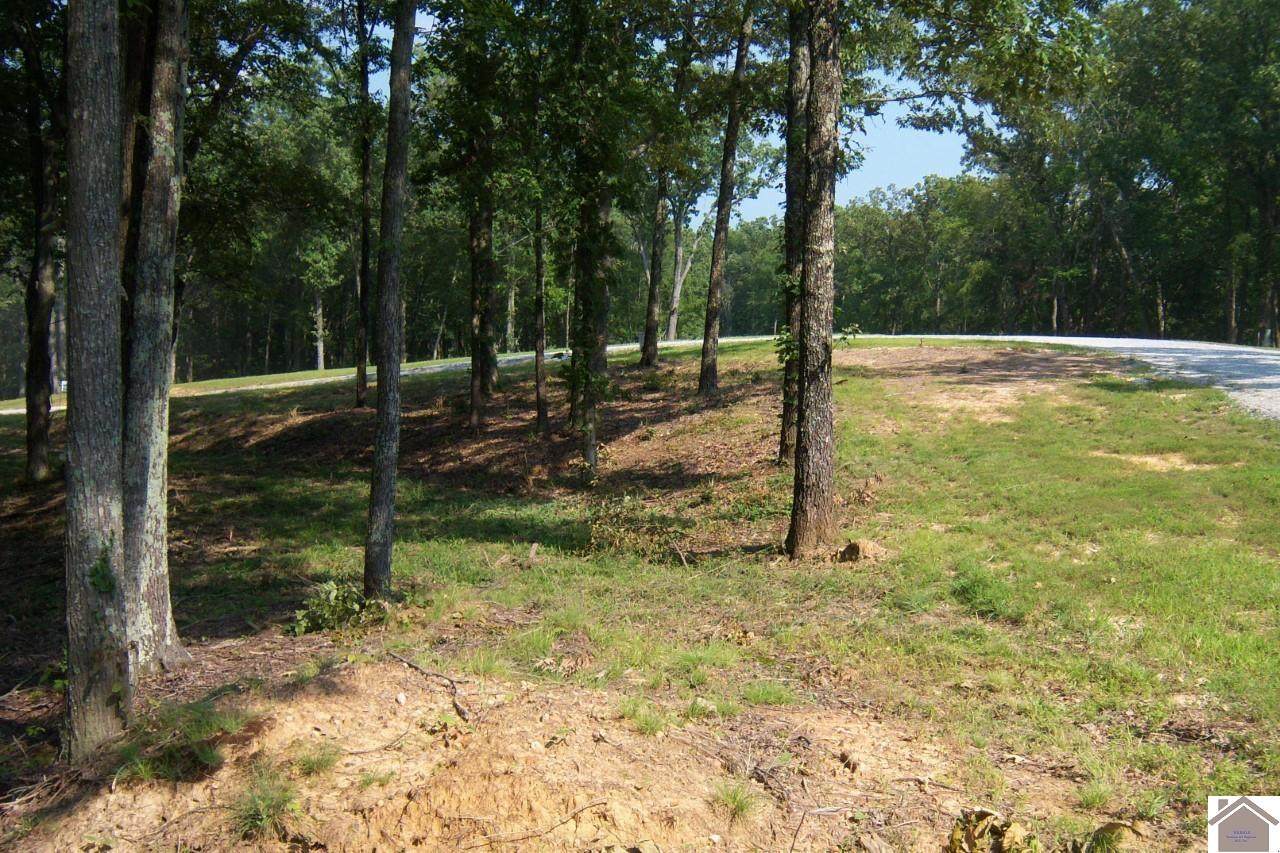 Lot 48 Dock Drive - Photo 1