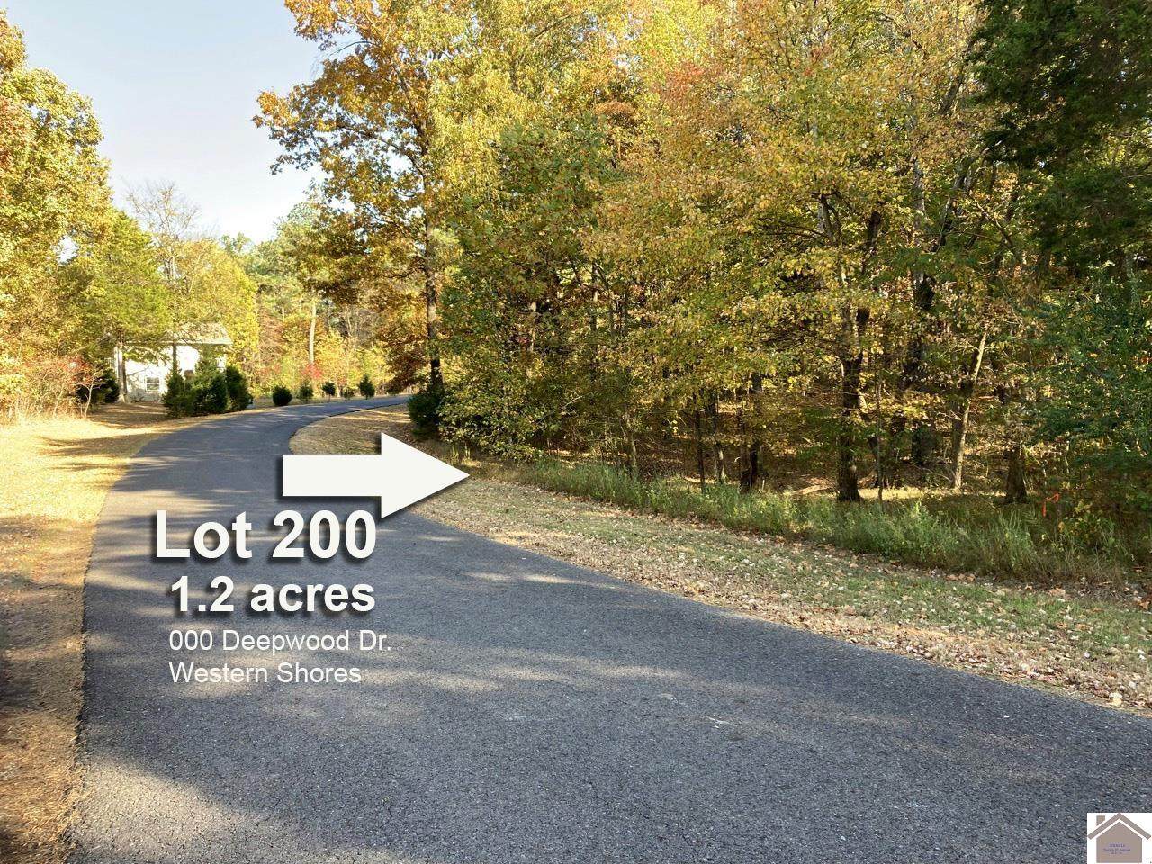 000 Deepwood Drive - Photo 1