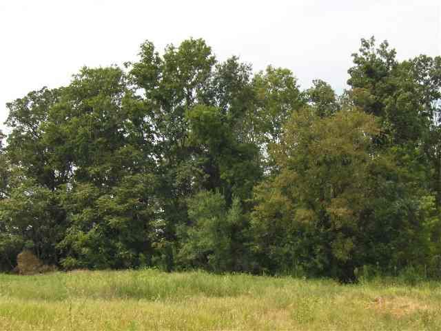 000 John Purdom Drive - Photo 1