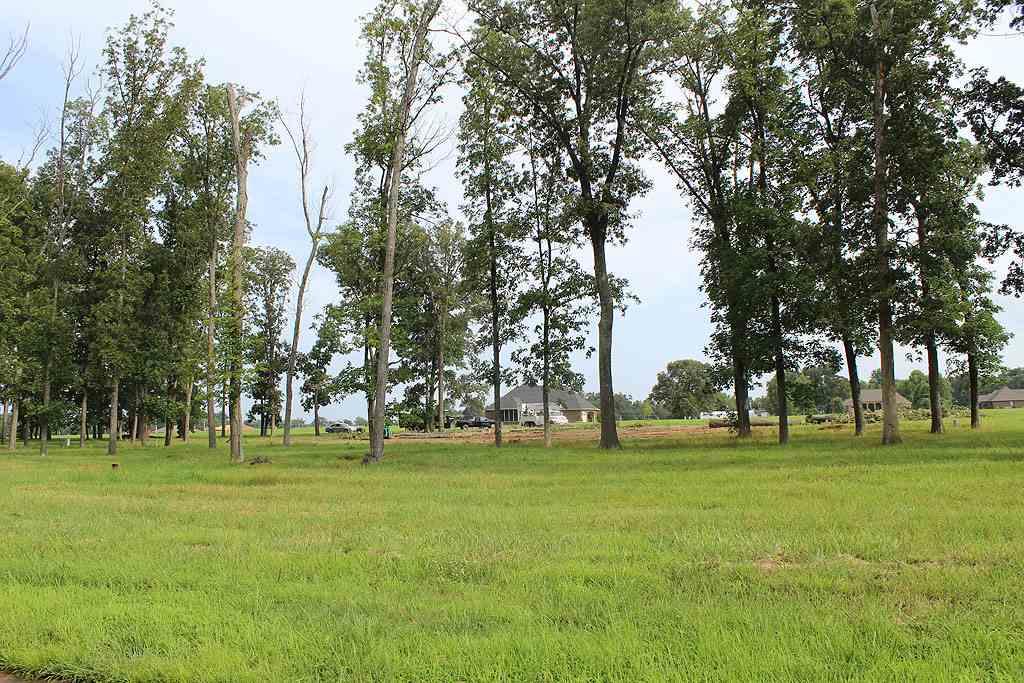 Lot# 74 Cornwall Drive - Photo 1