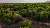TBD Hwy 59 - Photo 7