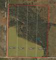 TRACT 1 Rock Springs School Rd - Photo 3