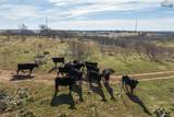 TBD State Highway 79 South - Photo 14